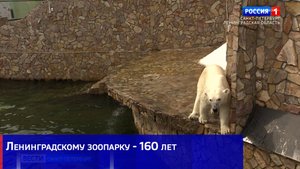 Ленинградскому зоопарку - 160 лет