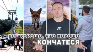 Какие новости? Глава 4