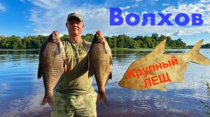 Ловим крупного ЛЕЩА на реке Волхов