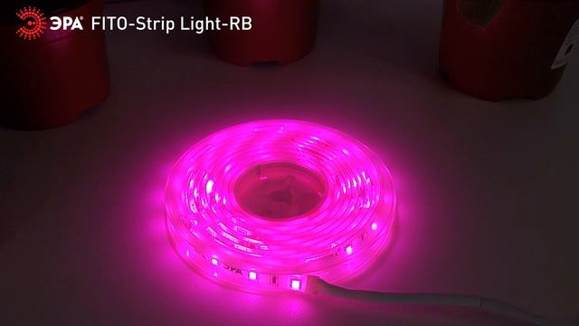 Светодиодная лента для растений ЭРА FITO-Strip Light-RB-2m красно-синего спектра, 2 м, IP65 смотреть онлайн