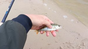 Рыбалка на реке в черте города