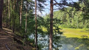 Привет из окрестностей Каслей