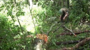 РЕМОНТ СТАРОЙ ГАТИ ЧЕРЕЗ ПРОТОКУ