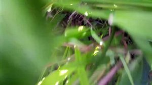 С другом Серёгой на реке Тяпке