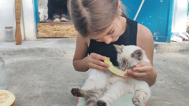 Нашли кто урожай постепенно уничтожает