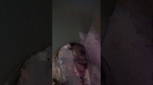 вот так вот короче