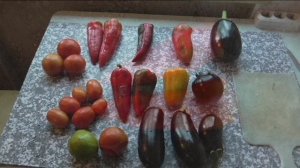 Перец БАНАНОВЫЙ ДЕСЕРТ