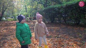 От носа до хвоста с голосами