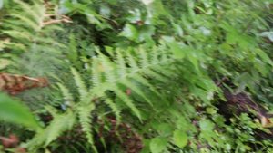 Пришел к речке сказать ей До свидания перед отъездом. Воскресенье, 10 августа 2025 г