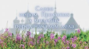 1. О делах. Работа, изменённое состояние сознания, но - идти дальше. Старец Фаддей против отчаяния