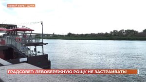 Градостроительный совет запретил застройку Левобережной рощи в Ростове