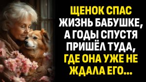 Жизненные истории. Щенок спас жизнь бабушке, а годы спустя пришёл туда, где она уже не. Аудиокниги