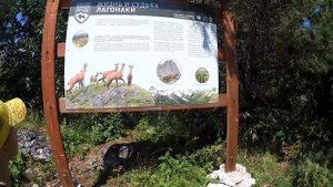 ПОЕЗДКА В АДЫГЕЮ, ПРОГУЛКА ПО ПАРКУ ЛАГОНАКИ