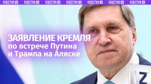 Как пройдет встреча Путина и Трампа на Аляске: полная версия комментария Кремля