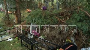 В Володарске неизвестные завалили соседнюю могилу мусором, чтобы не нести этот мусор до контейнеров