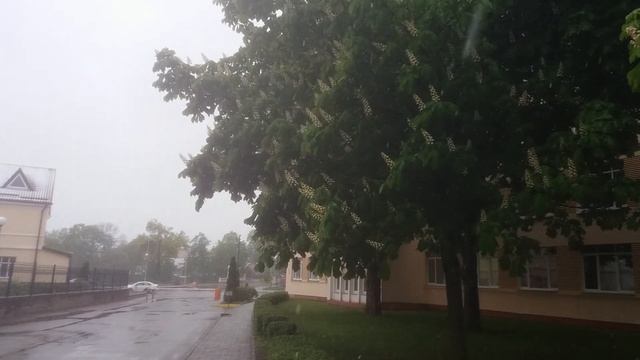 Снег. Гродно. 12.05.2020. Зимой было меньше, чем в мае смотреть онлайн