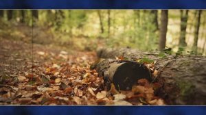 Yugo - Forget Yourself