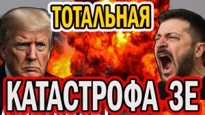 ЗЕЛЯ В ЭВАКУАЦИИ - СКУЛИТ ПОД ШКОНКОЙ.