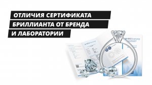 Отличия сертификата бриллианта от бренда и лаборатории