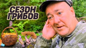 ГРИБНОЙ АПОКАЛИПСИС В ДЕРЕВНЕ! Дожди Затопили Лес, Но Я Нашел Сокровища Под Ногами?!