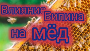 Влияние Бипина на мёд