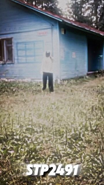 Не успел спрятаться... 😶🌫️ смотреть онлайн