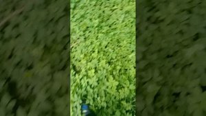 следим за Жекой и его подругой🤯🤯🤯