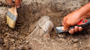 Археологические раскопки стартовали по всей Беларуси. Какие древние реликвии находят специалисты?