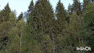 "В августе лето играло со мной!"