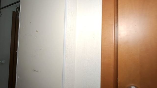 14-08-2025 смотреть онлайн