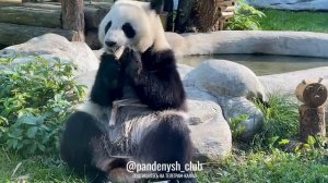 Всем отличного настроения! 🥰❤️