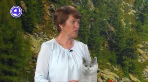 Утренний экспресс от 13.08.2025