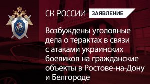 Возбуждены уголовные дела о терактах в Ростове-на-Дону и Белгороде