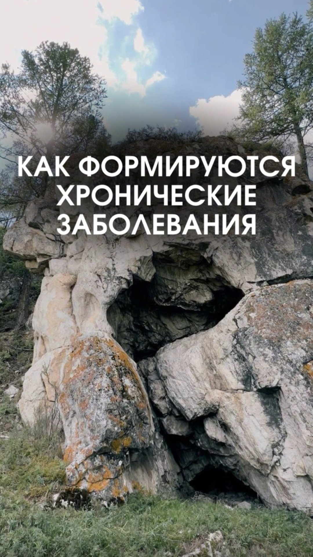 Как формируются хронические заболевания смотреть онлайн