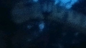 я занимаюсь спортом