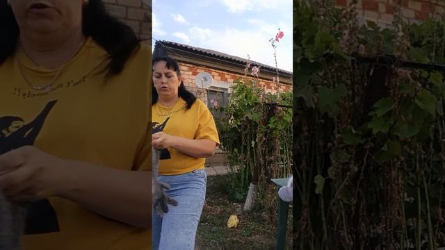 1000187215.mp4 Пуховые изделия у Ольги.т.89020931602 смотреть онлайн