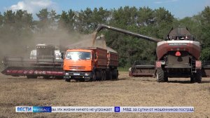 В Кузбассе продолжается уборочная кампания