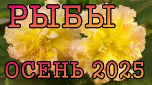РЫБЫ таро прогноз на ОСЕНЬ 2025 года (сентябрь, октябрь, ноябрь).
