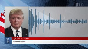 Дональд Трамп поделился ожиданиями от предстоящей встречи с Владимиром Путиным