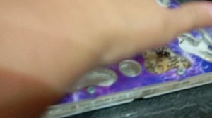 кот на поддоконнике