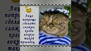 КОТ НА ЛЕТО ПОСМОТРЕЛ,- ЗАНОСИТЕ ЁЛКУ! Юмор/Мемы с котами