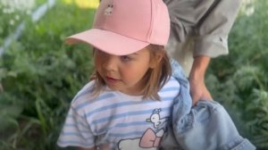 Июль 2025. Коровки и стройка. Аня прощается. Рената и Лиса. Антон в гостях. Жаба и Фаня в отпуске