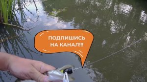 УЧУСЬ ВИДЕОМОНТАЖУ!!! АГИТКАМПАНИЯ для ВАС!!!