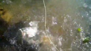 Путорана. Нахлыст