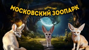 Фенек. Миниатюрная лисичка с длинными ушами. Пустынная лиса. Московский зоопарк. Лето 2025