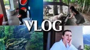 VLOG // СОЧИ / СЕМЕЙНОЕ ПУТЕШЕСТВИЕ / РОМАНТИКА В ГОРАХ / ВСЕ В ГЛИНЕ / УШЛИ В МОНАСТЫРЬ