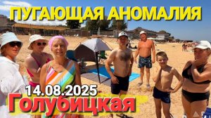 #Голубицкая Пугающая Медузная Аномалия 14 Августа 2025 г. #Стрим - Центральный пляж до пляжа у Бочки