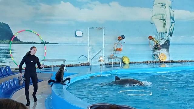 Минск, дельфинарий смотреть онлайн