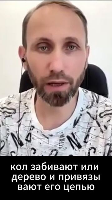 История про слоненка смотреть онлайн