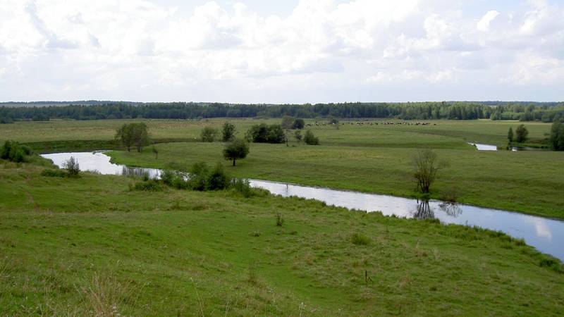 Сплав по реке Святица смотреть онлайн